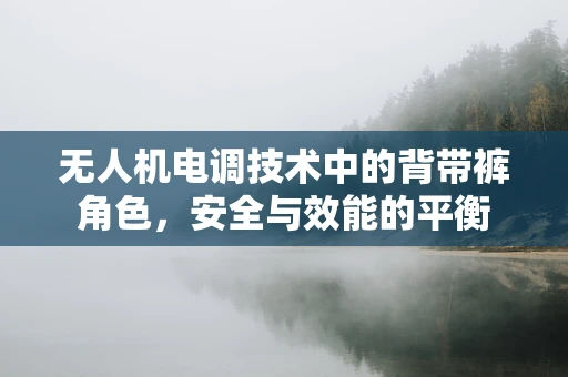 无人机电调技术中的背带裤角色，安全与效能的平衡