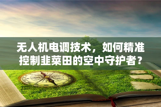 无人机电调技术，如何精准控制韭菜田的空中守护者？