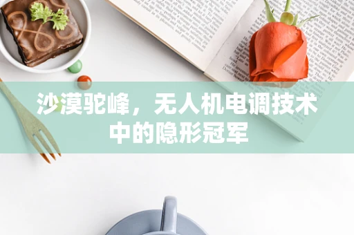 沙漠驼峰，无人机电调技术中的隐形冠军
