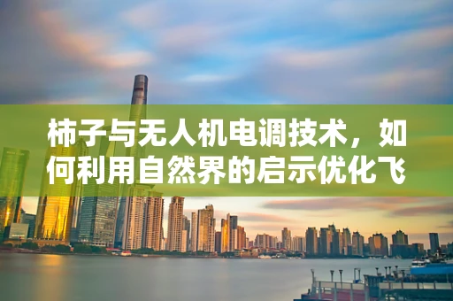 柿子与无人机电调技术，如何利用自然界的启示优化飞行稳定性？
