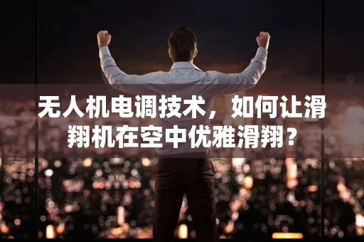 无人机电调技术，如何让滑翔机在空中优雅滑翔？
