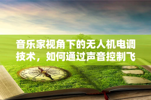 音乐家视角下的无人机电调技术，如何通过声音控制飞行？