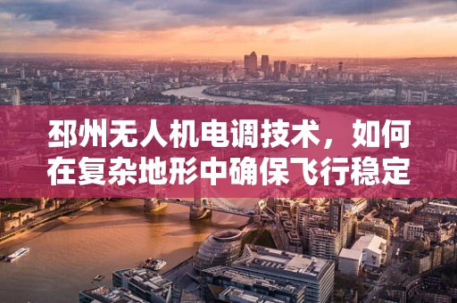 邳州无人机电调技术，如何在复杂地形中确保飞行稳定？
