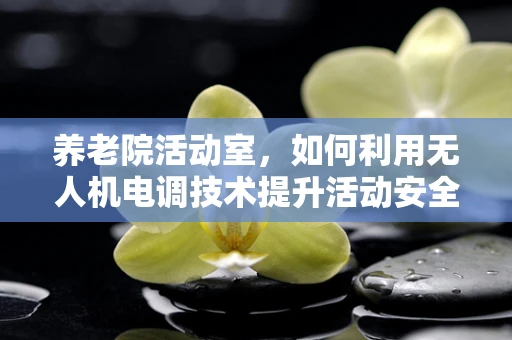 养老院活动室，如何利用无人机电调技术提升活动安全与趣味性？