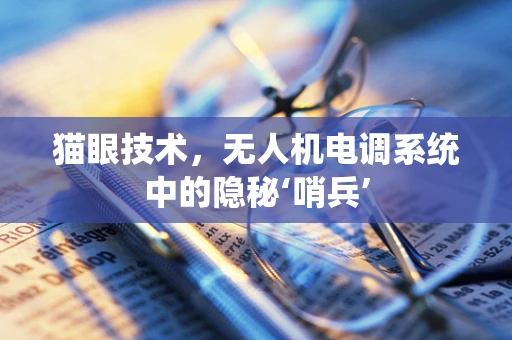 猫眼技术，无人机电调系统中的隐秘‘哨兵’