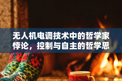 无人机电调技术中的哲学家悖论，控制与自主的哲学思考