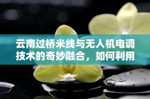 云南过桥米线与无人机电调技术的奇妙融合，如何利用热能管理提升送餐效率？