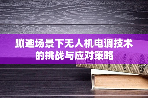 蹦迪场景下无人机电调技术的挑战与应对策略