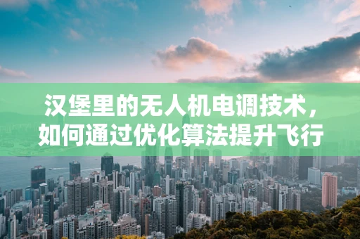 汉堡里的无人机电调技术，如何通过优化算法提升飞行稳定性？