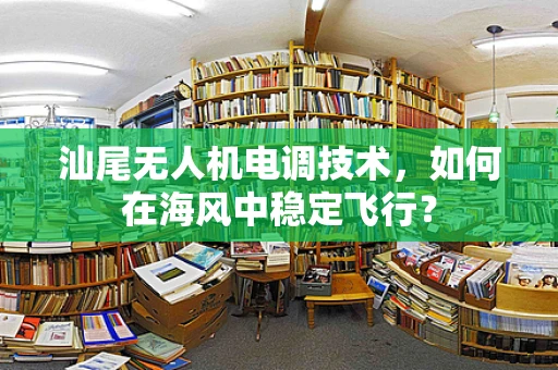 汕尾无人机电调技术，如何在海风中稳定飞行？