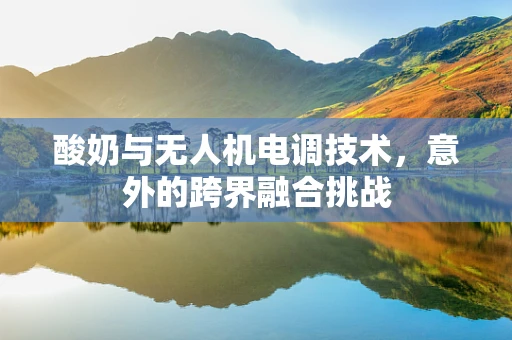 酸奶与无人机电调技术，意外的跨界融合挑战
