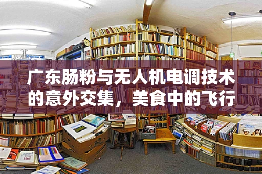 广东肠粉与无人机电调技术的意外交集，美食中的飞行控制灵感？