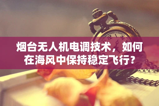 烟台无人机电调技术，如何在海风中保持稳定飞行？