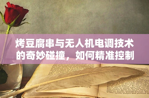 烤豆腐串与无人机电调技术的奇妙碰撞，如何精准控制热源以保障美食与设备的双重安全？