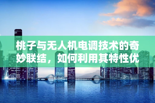 桃子与无人机电调技术的奇妙联结，如何利用其特性优化飞行稳定性？