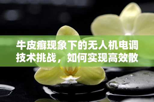 牛皮癣现象下的无人机电调技术挑战，如何实现高效散热与稳定性能的双重保障？