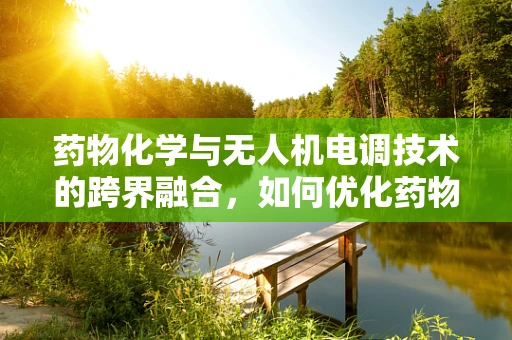 药物化学与无人机电调技术的跨界融合，如何优化药物输送的精准度？