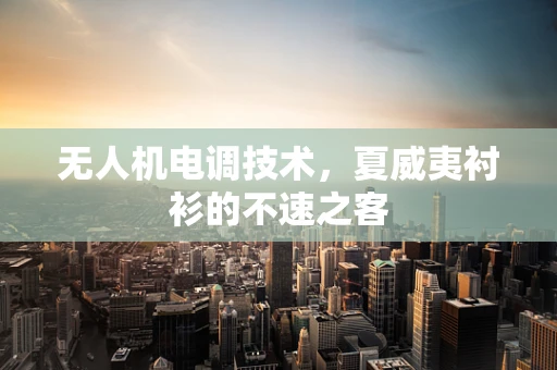无人机电调技术，夏威夷衬衫的不速之客