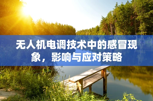 无人机电调技术中的感冒现象，影响与应对策略