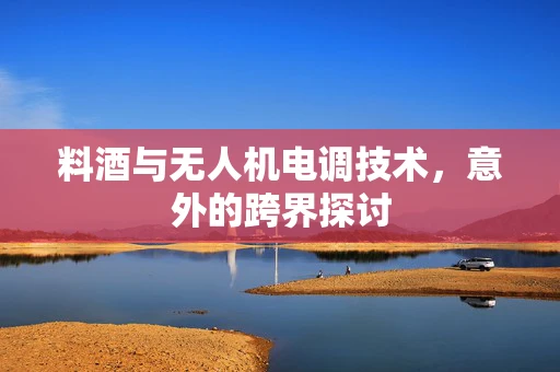 料酒与无人机电调技术，意外的跨界探讨