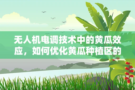 无人机电调技术中的黄瓜效应，如何优化黄瓜种植区的无人机飞行稳定性？