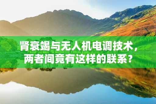 肾衰竭与无人机电调技术，两者间竟有这样的联系？