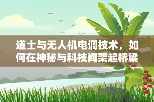 道士与无人机电调技术，如何在神秘与科技间架起桥梁？