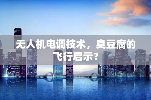 无人机电调技术，臭豆腐的飞行启示？