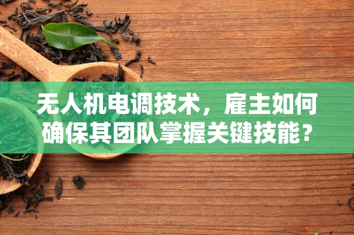 无人机电调技术，雇主如何确保其团队掌握关键技能？