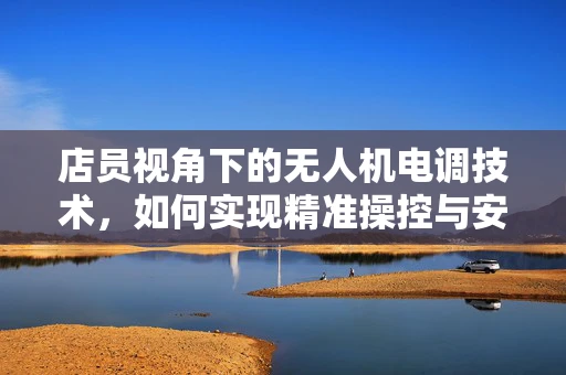 店员视角下的无人机电调技术，如何实现精准操控与安全飞行？