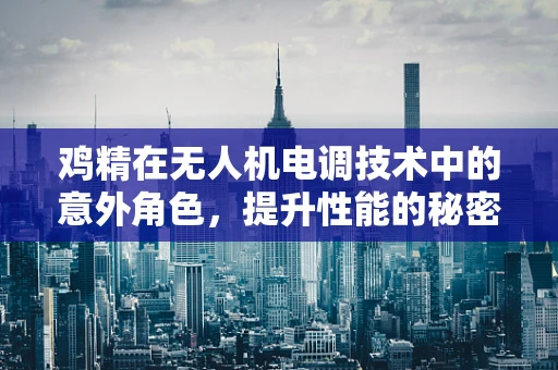 鸡精在无人机电调技术中的意外角色，提升性能的秘密调料？