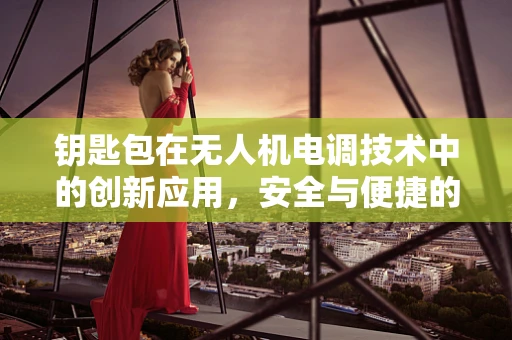 钥匙包在无人机电调技术中的创新应用，安全与便捷的双重挑战