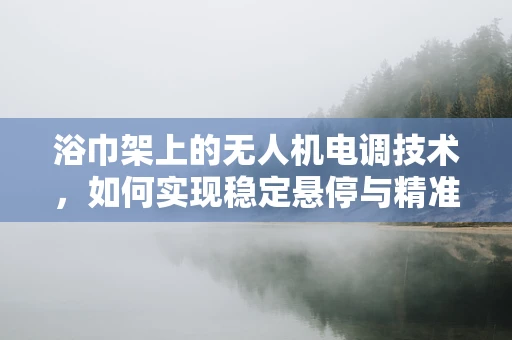浴巾架上的无人机电调技术，如何实现稳定悬停与精准控制？