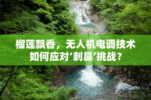 榴莲飘香，无人机电调技术如何应对‘刺鼻’挑战？