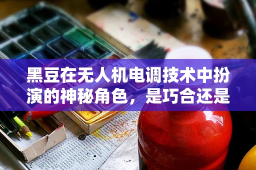 黑豆在无人机电调技术中扮演的神秘角色，是巧合还是技术奇缘？