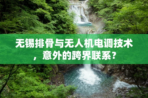 无锡排骨与无人机电调技术，意外的跨界联系？