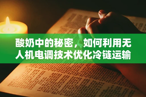 酸奶中的秘密，如何利用无人机电调技术优化冷链运输？