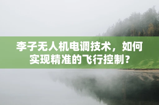 李子无人机电调技术，如何实现精准的飞行控制？