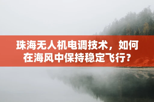 珠海无人机电调技术，如何在海风中保持稳定飞行？