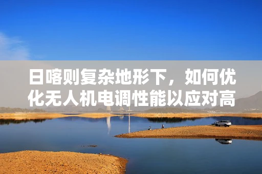 日喀则复杂地形下，如何优化无人机电调性能以应对高原低氧挑战？