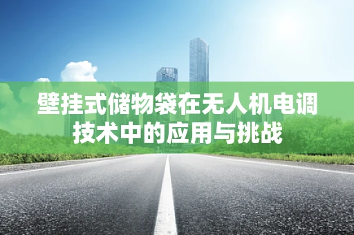 壁挂式储物袋在无人机电调技术中的应用与挑战