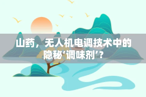 山药，无人机电调技术中的隐秘‘调味剂’？