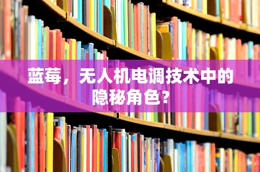 蓝莓，无人机电调技术中的隐秘角色？