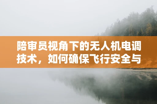 陪审员视角下的无人机电调技术，如何确保飞行安全与性能的平衡？