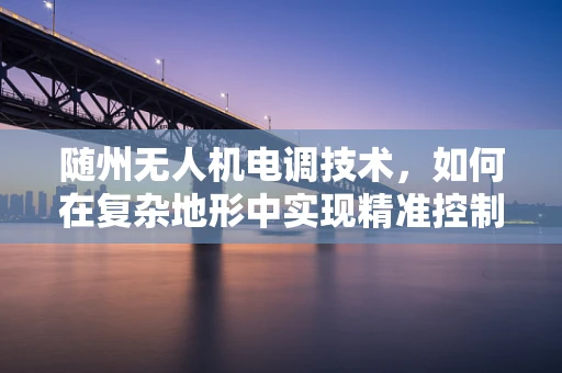 随州无人机电调技术，如何在复杂地形中实现精准控制？