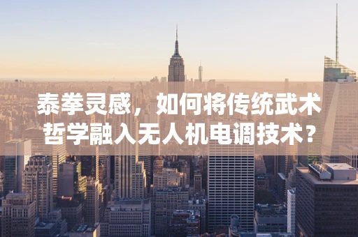 泰拳灵感，如何将传统武术哲学融入无人机电调技术？