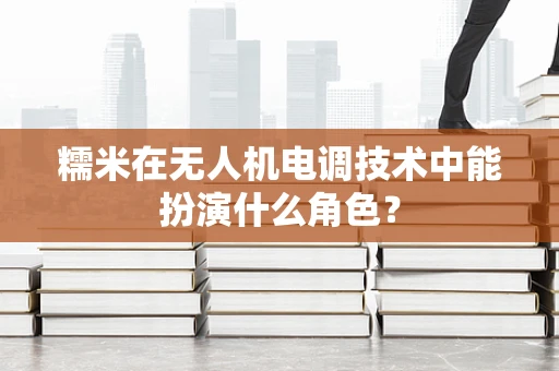 糯米在无人机电调技术中能扮演什么角色？