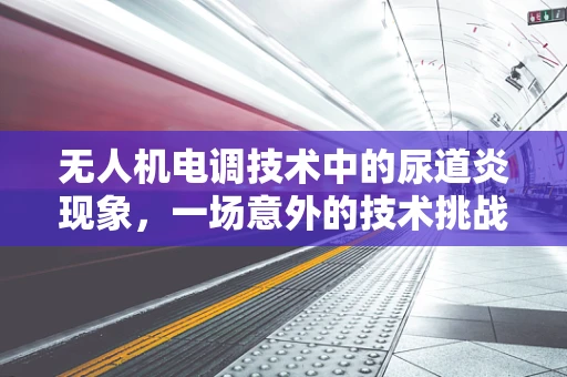 无人机电调技术中的尿道炎现象，一场意外的技术挑战？