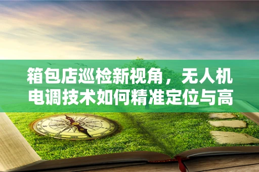 箱包店巡检新视角，无人机电调技术如何精准定位与高效监控？