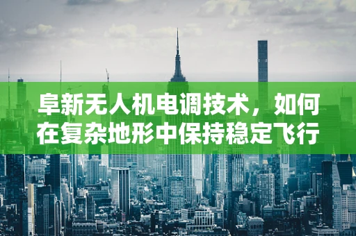 阜新无人机电调技术，如何在复杂地形中保持稳定飞行？